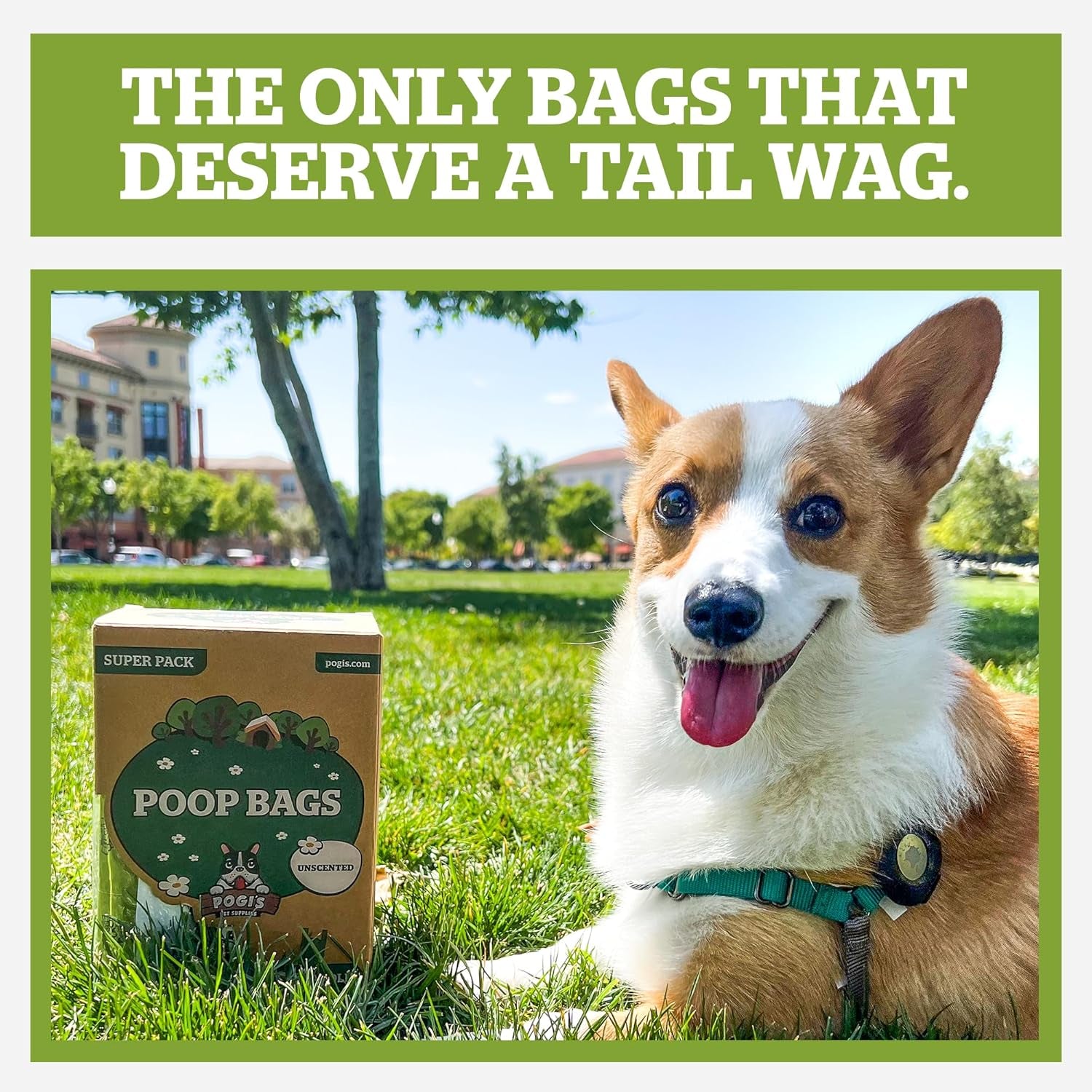 Pogi’s Dog Poop Bags with Handles – Extra-Thick, Leak-Proof, Large, Fresh Scent, 900 Count