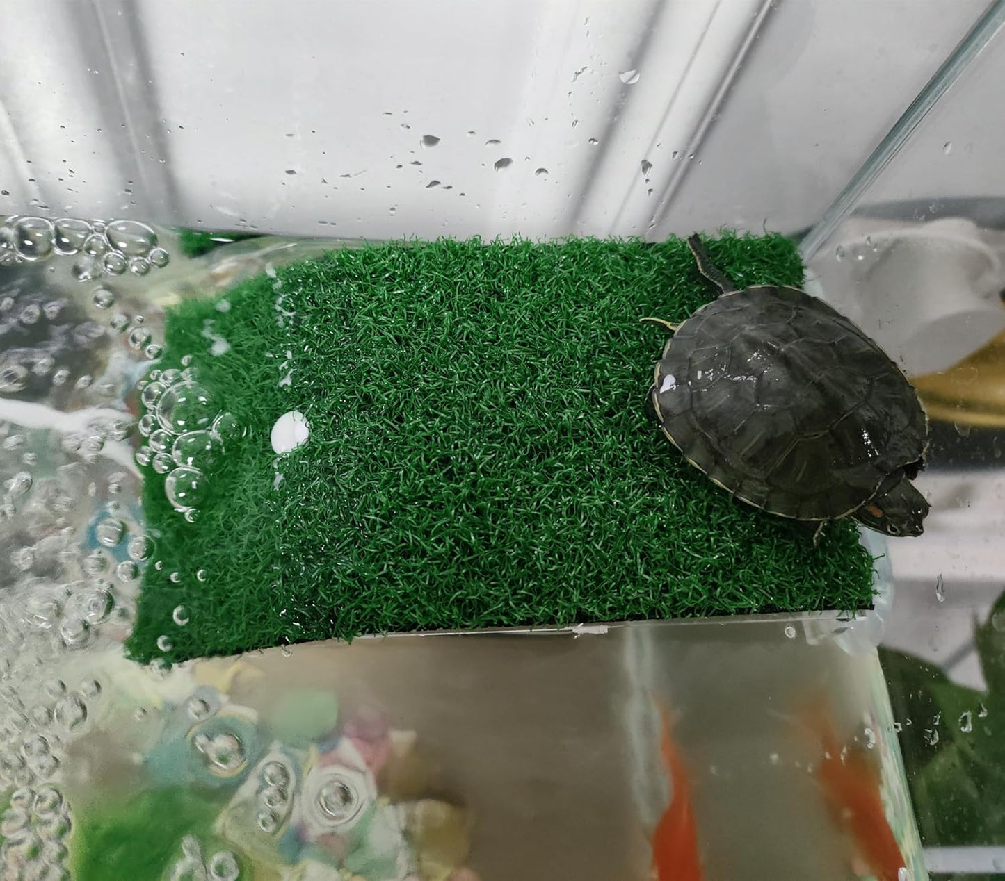 Turtle Basking Platform with Ramp – Floating Reptile Resting Dock for Turtles & Amphibians