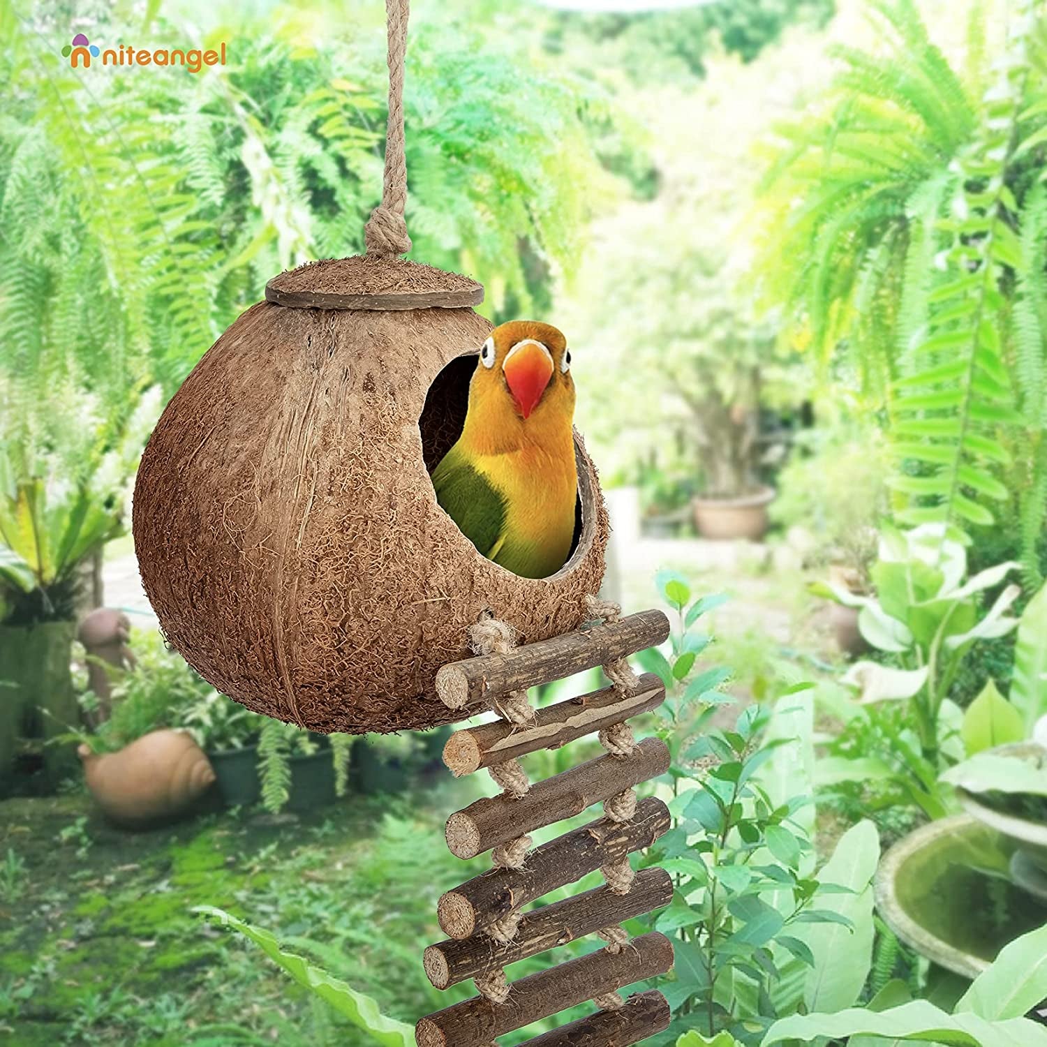 Natural Coconut Hideout with Ladder – Bird & Small Pet Toy