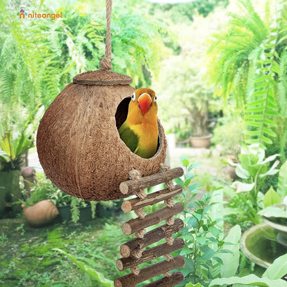 Natural Coconut Hideout with Ladder – Bird & Small Pet Toy