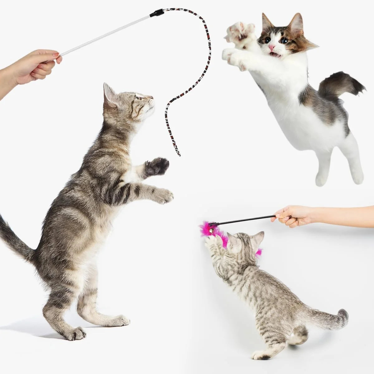 32-Pack Cat Toy Set – Interactive Kitten Toys with Tunnel & Catnip