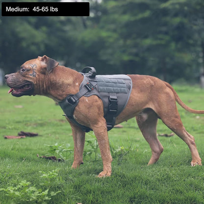 Tactical Dog Harness with Handle – No-Pull MOLLE Vest, Metal Buckles (Grey, Medium)