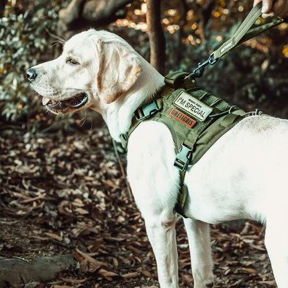 Tactical No-Pull Dog Harness – Breathable Adjustable Dog Vest with Handle for Walking (Ranger Green, Small)