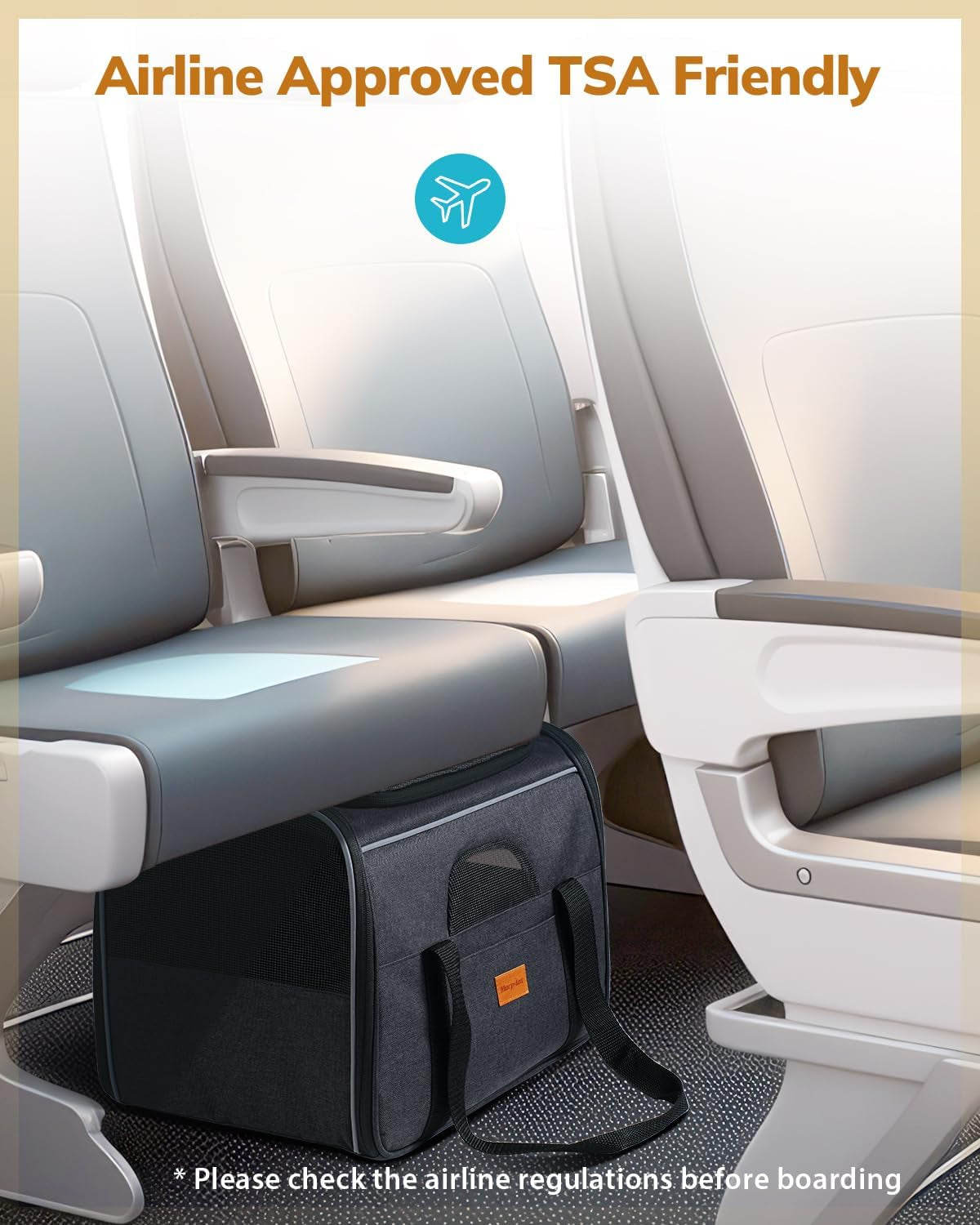 Soft Pet Carrier for Cats & Small Dogs – Travel Carrier with Cushion & Foldable Bowl (up to 9.1 kg, Dark Gray)