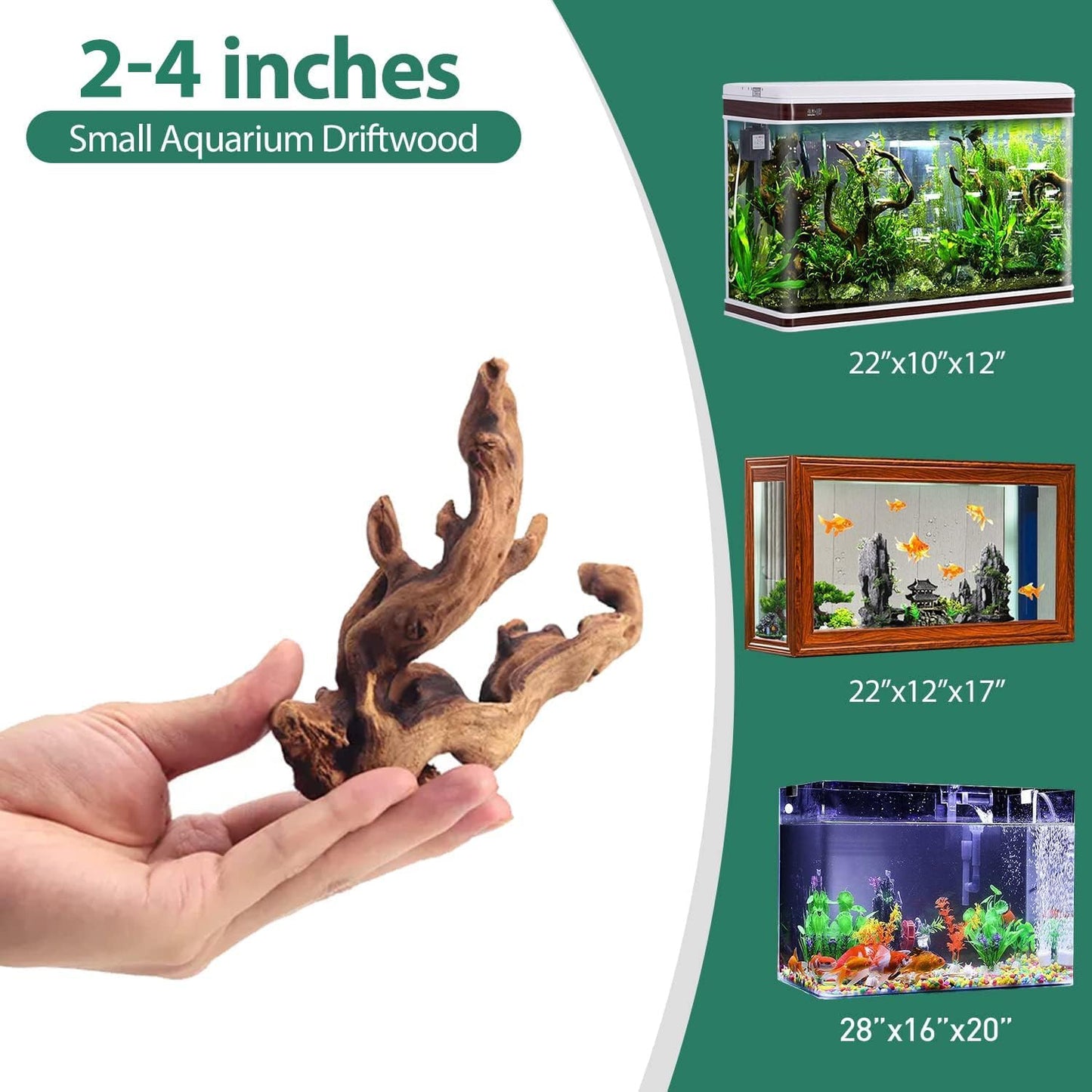 Natural Driftwood Set (10 pcs, 2"-5" (5–13 cm) for Aquarium & Reptiles