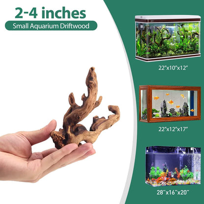 Natural Driftwood Set (10 pcs, 2"-5" (5–13 cm) for Aquarium & Reptiles