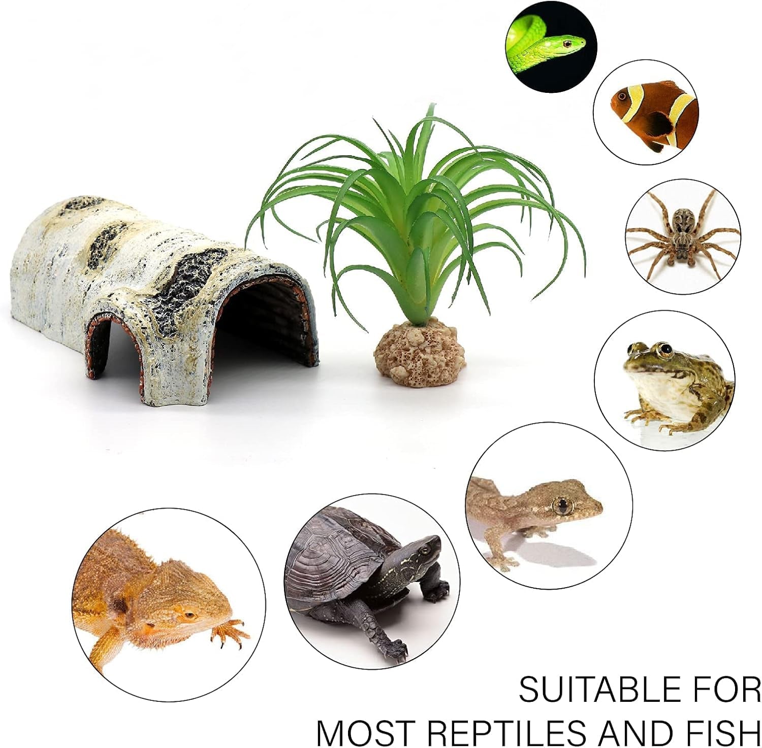 Reptile Hide & Cave – Natural Birch Bark Habitat Decor for Lizards, Geckos & Frogs (Small)