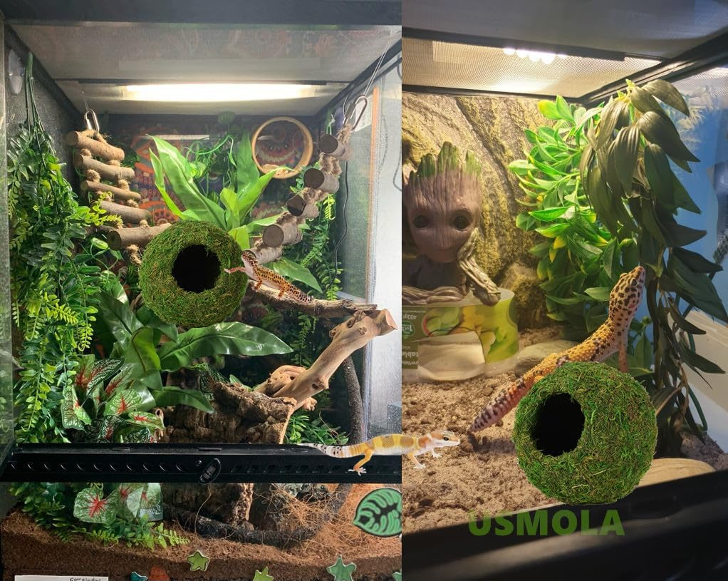 Reptile Moss Cave Hideout – Artificial Green Moss Shelter for Frogs & Snakes