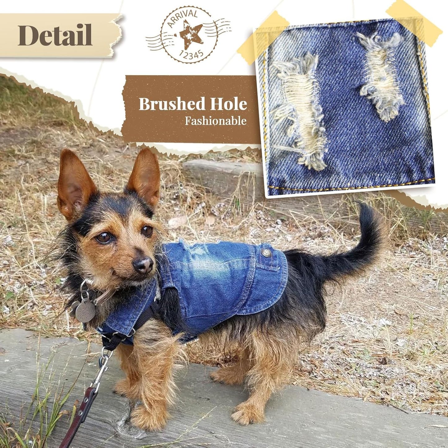 Dog Denim Jacket – Jean Vest for Small Pets (Blue, XS, 2-4 Lbs, 0.9–1.8 kg)
