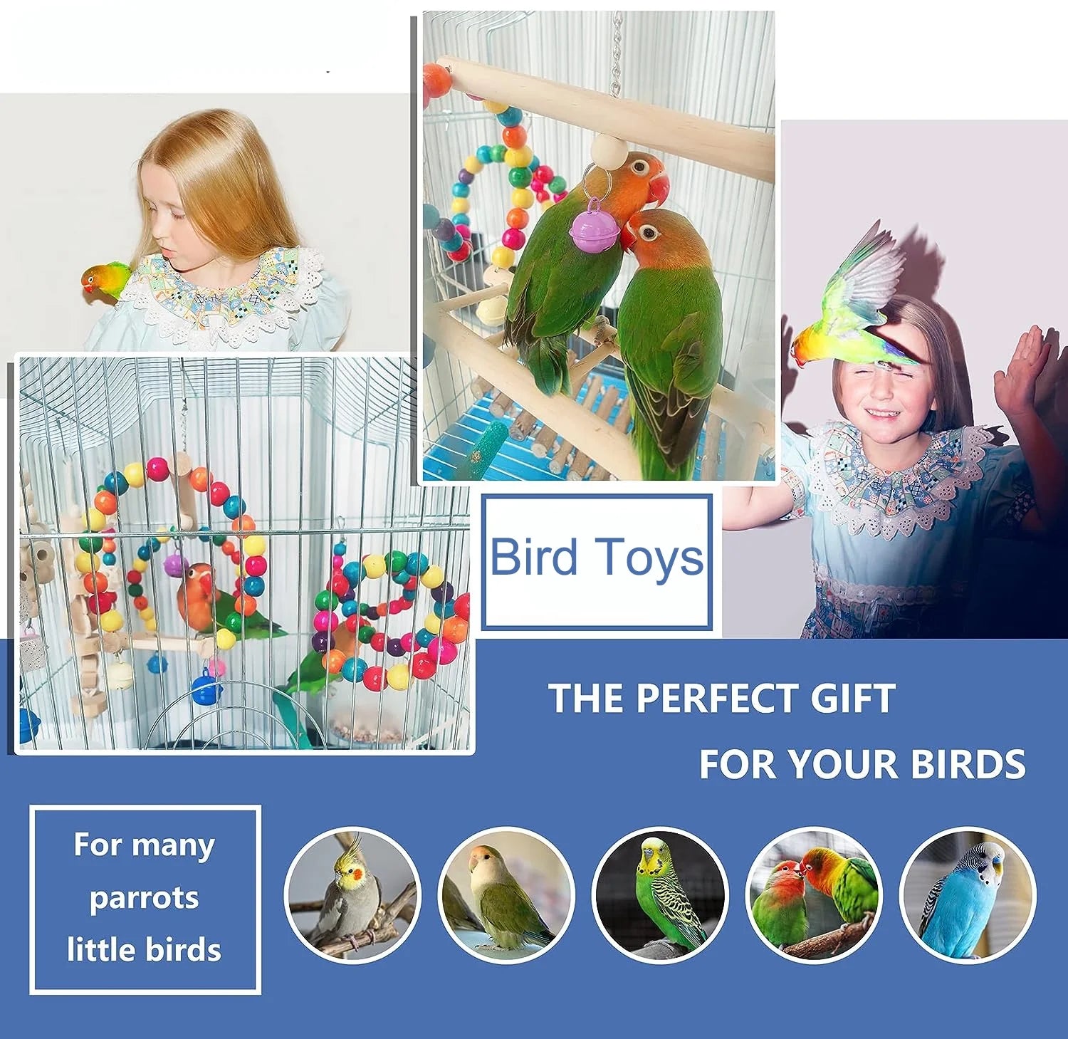6-Pack Bird Toys – Parrot & Parakeet Hanging Chew & Swing Set