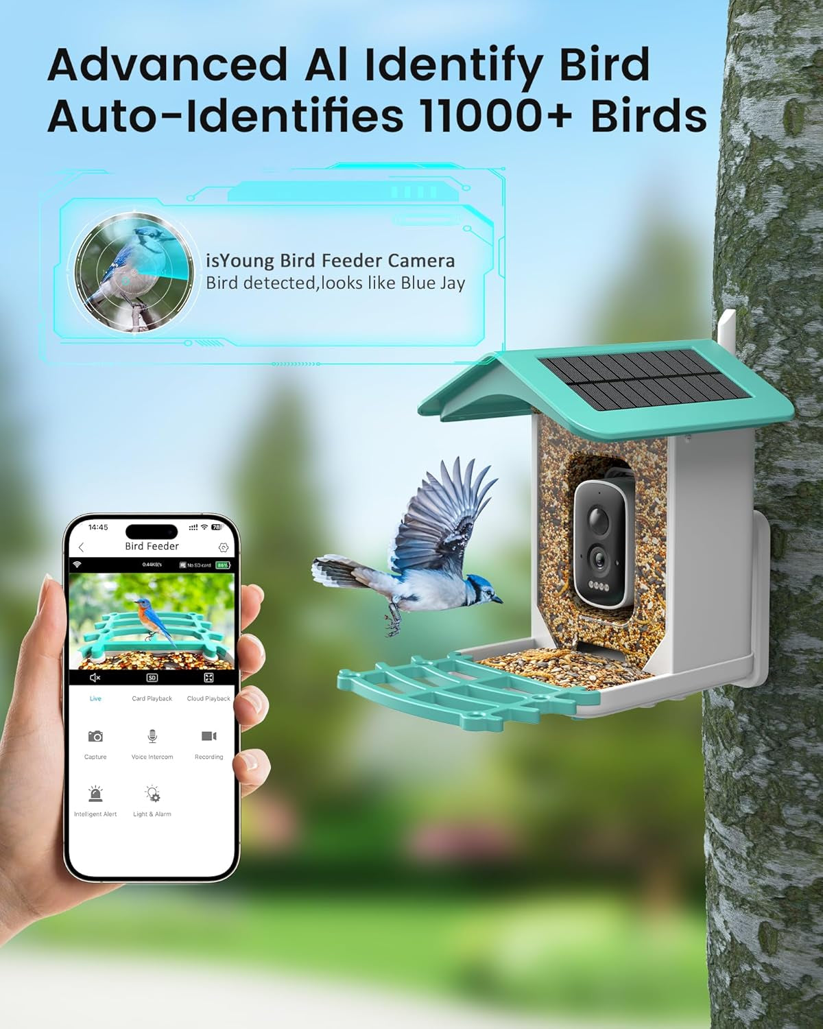 Smart Bird Feeder Camera with AI & Solar Power, 2K HD