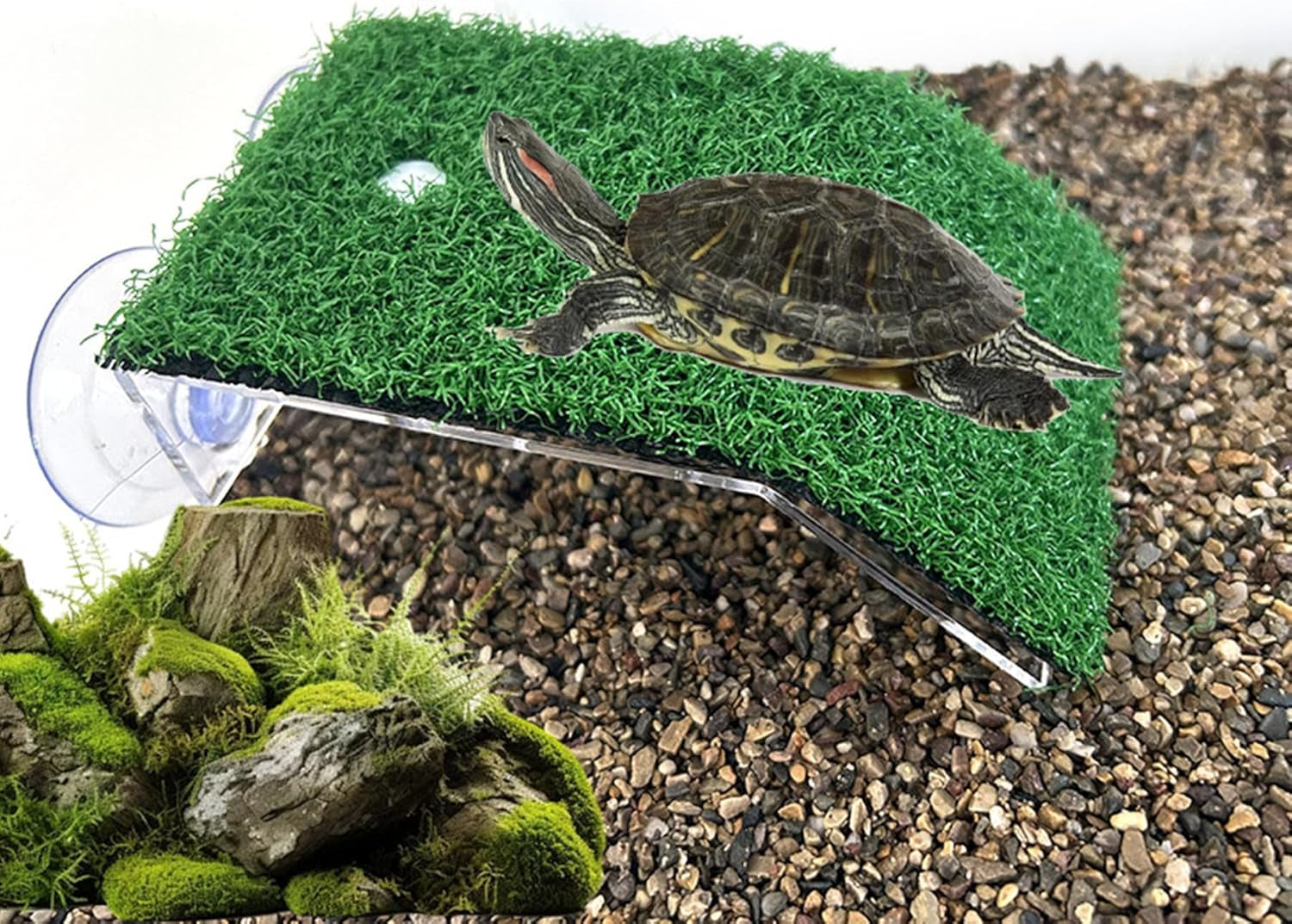 Turtle Basking Platform with Ramp – Floating Reptile Resting Dock for Turtles & Amphibians