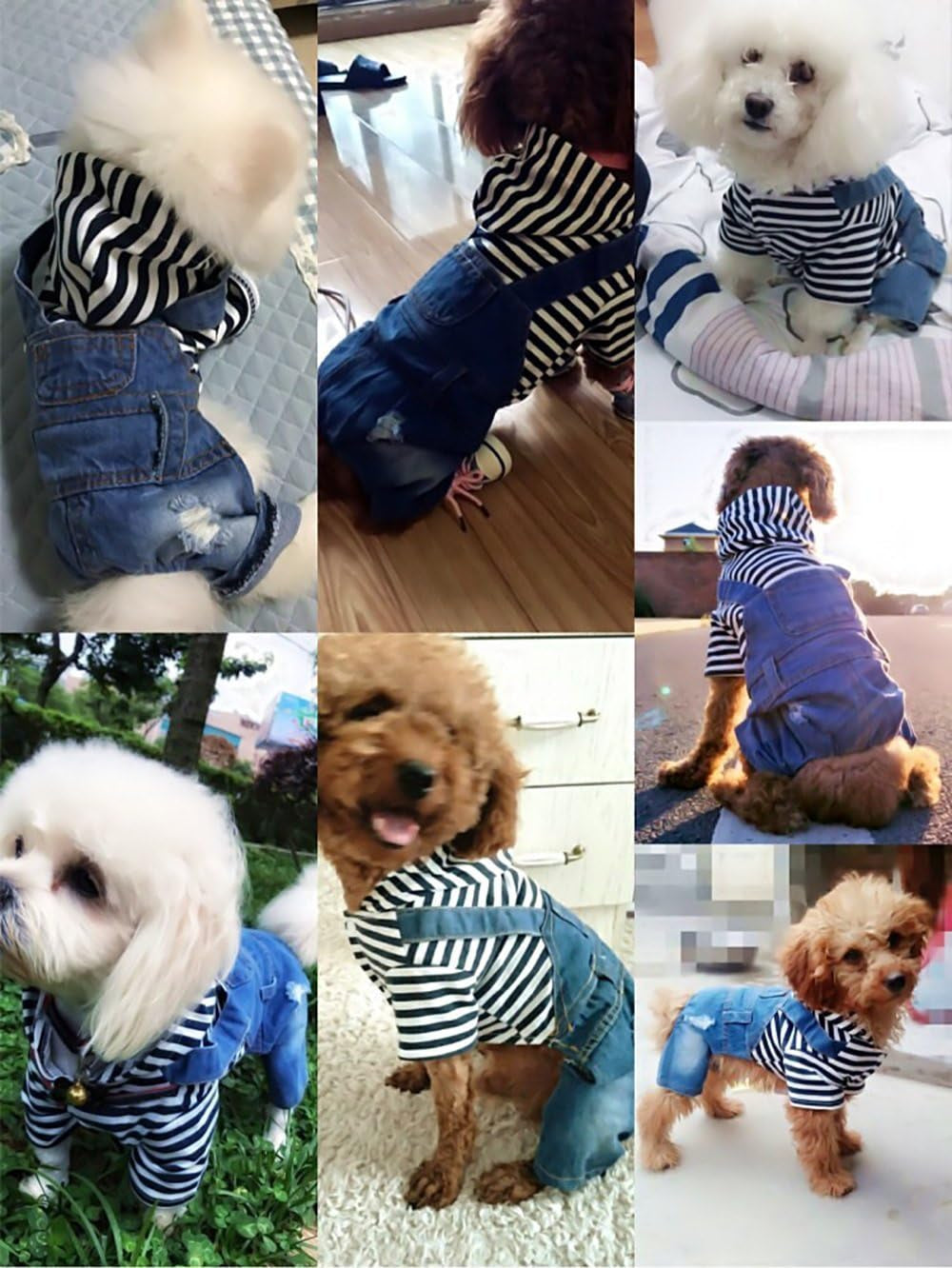Dog Denim Jacket Hoodie – Vintage Blue Coat for Small & Medium Dogs (L)