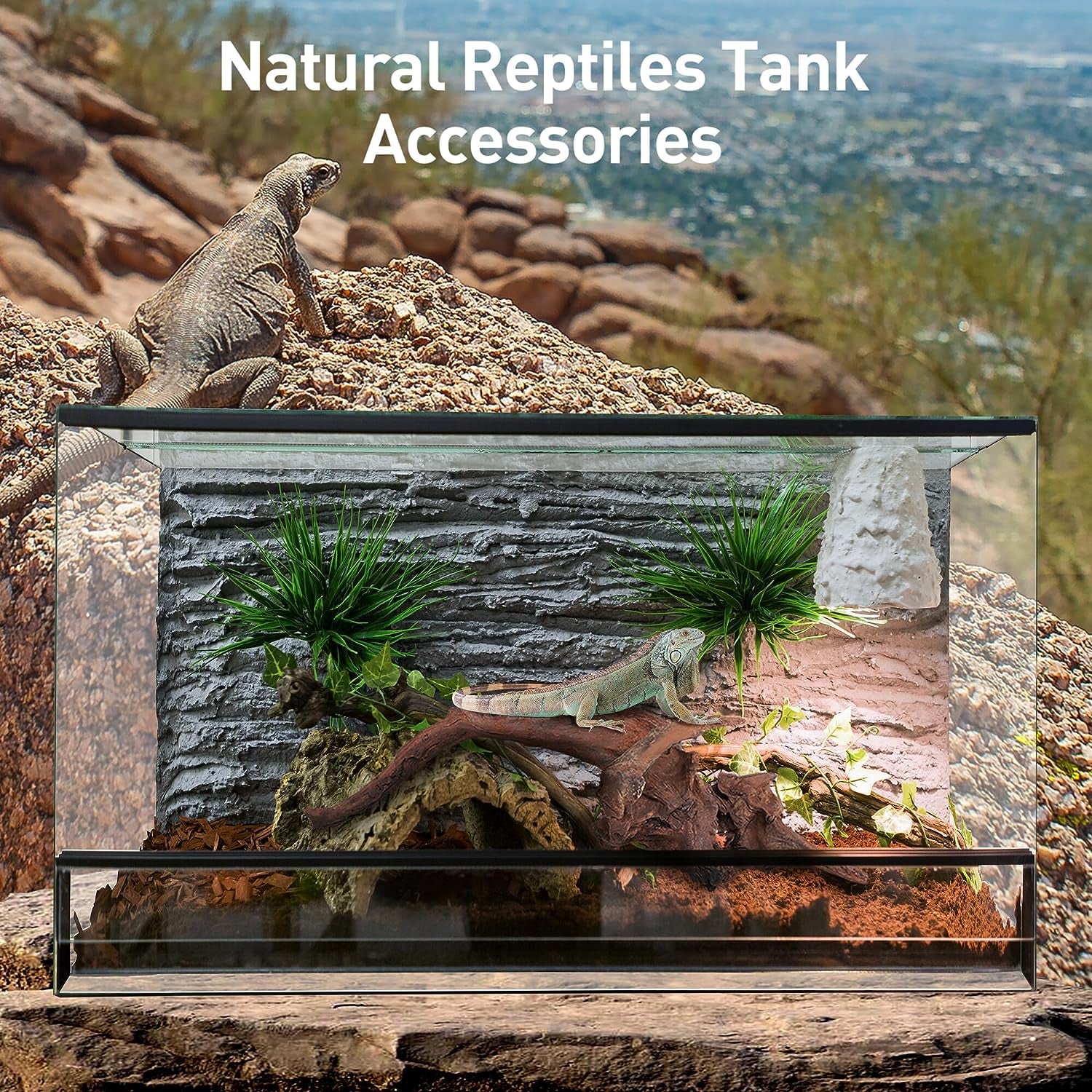 Natural Driftwood Set (10 pcs, 2"-5" (5–13 cm) for Aquarium & Reptiles