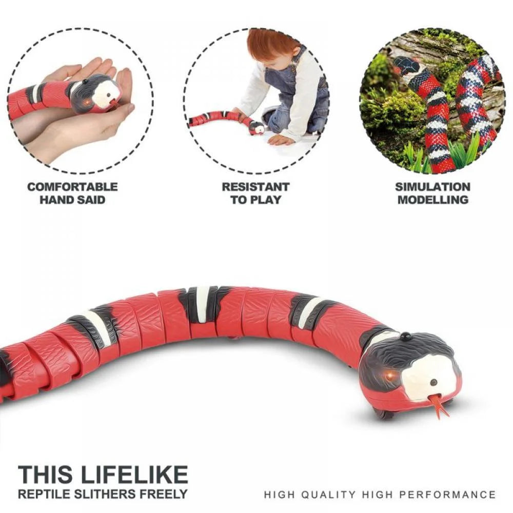 Electric Snake Cat Toy – USB Smart Sensing Simulator