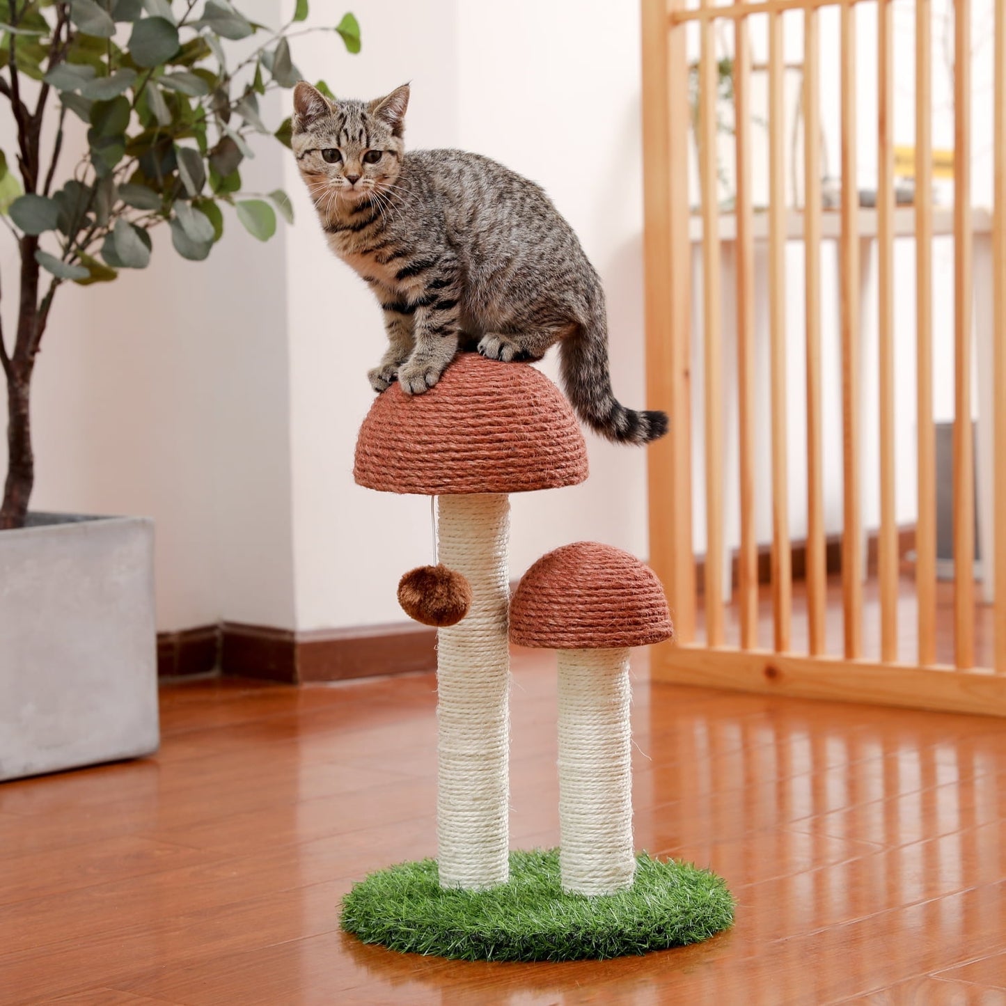 2 Mushrooms Cat Scratching Post 19″ (≈48 cm) – Sisal Claw Scratcher for Kittens & Small Cats, Brown