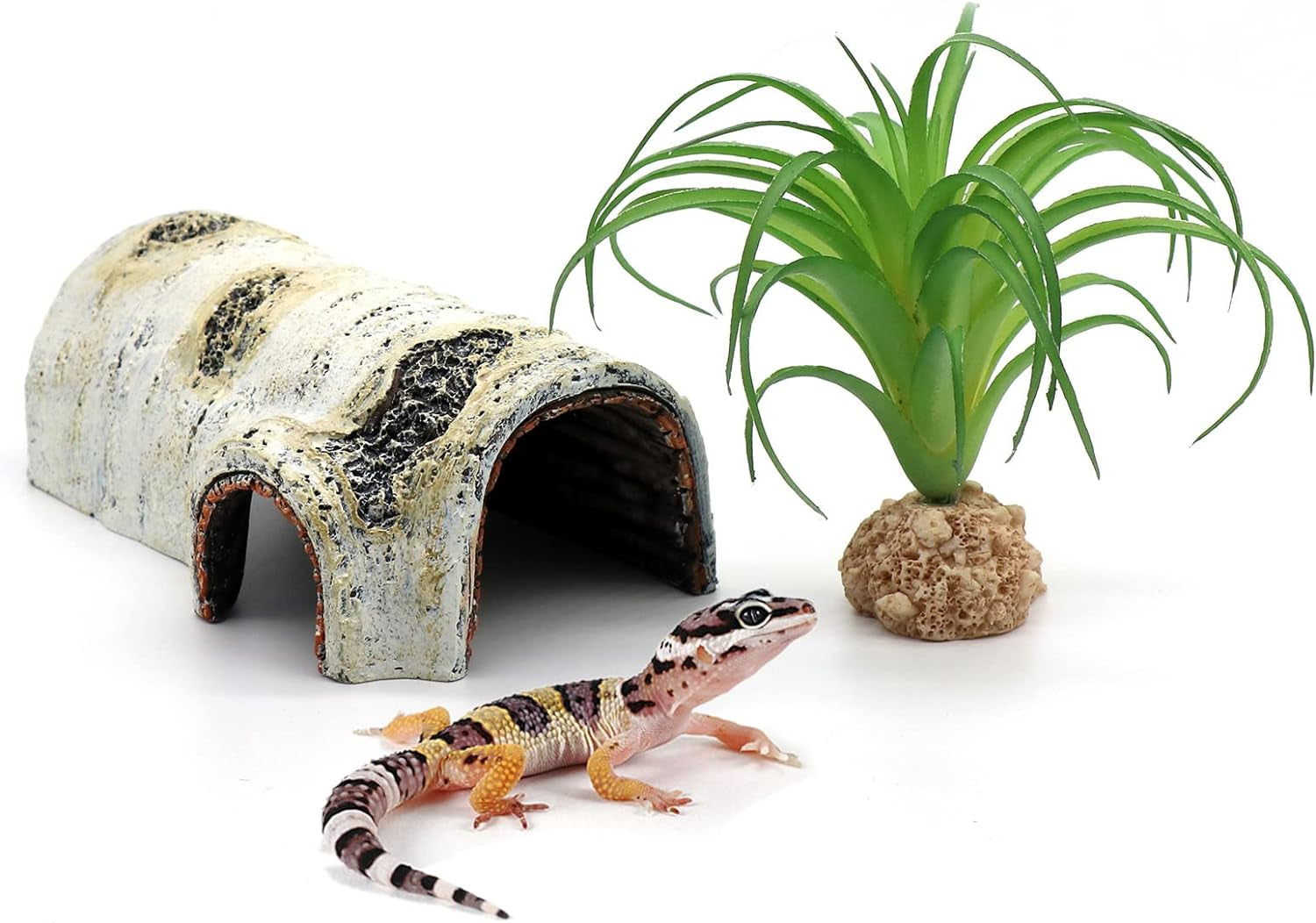 Reptile Hide & Cave – Natural Birch Bark Habitat Decor for Lizards, Geckos & Frogs (Small)