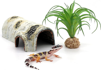 Reptile Hide & Cave – Natural Birch Bark Habitat Decor for Lizards, Geckos & Frogs (Small)