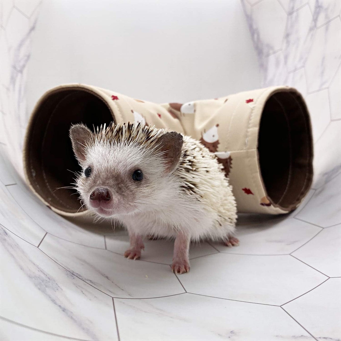 Handmade Small Animal Hideout Tunnel – Collapsible 3-Way Play Toy (Beige)