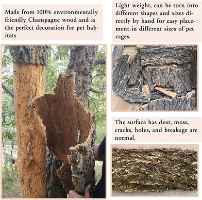 Natural Cork Terrarium Background Set, 15.7×11.8In (40 × 30 cm), 2 pcs