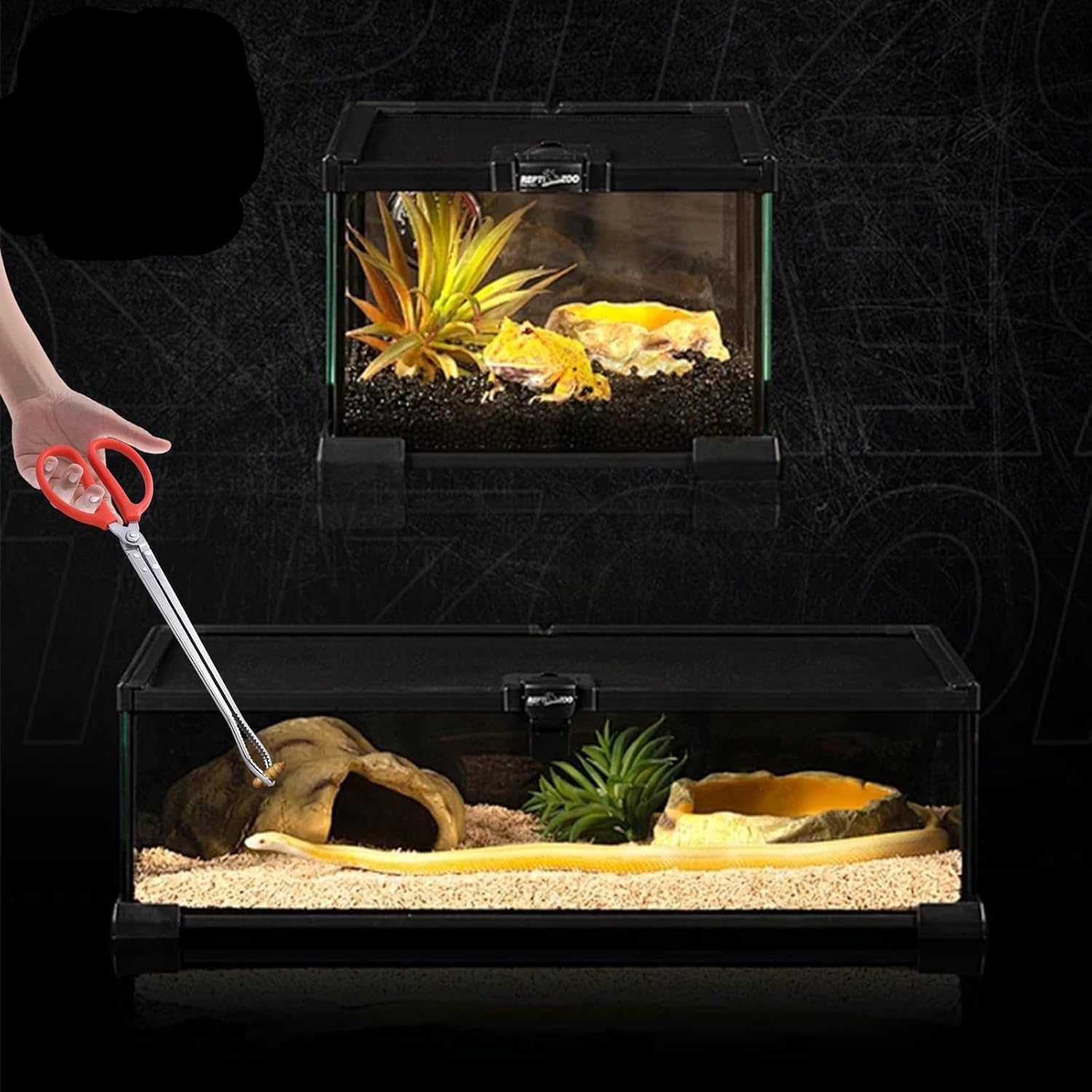 2-Pack Stainless Steel Snake Feeding Tongs 38 cm (15″) – Reptile Feeding Tool