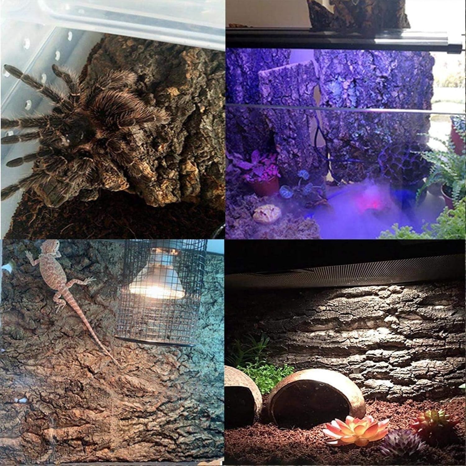 Natural Cork Terrarium Background Set, 15.7×11.8In (40 × 30 cm), 2 pcs